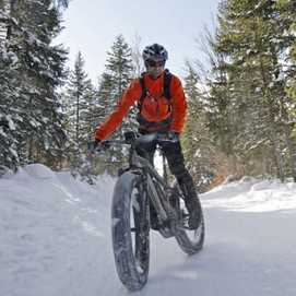 Fat Bike