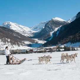 Ceillac / Vallée du Cristillan