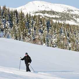 Seyne les Alpes - Le Fanget