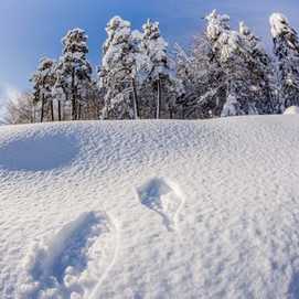 Val d'Allos