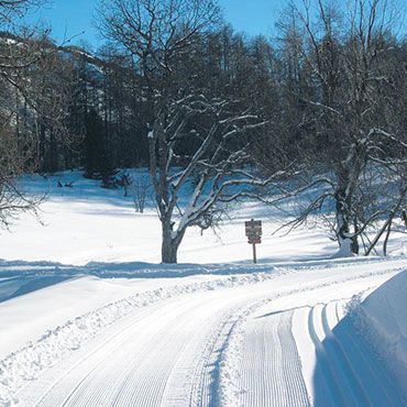 Haut Verdon - Vallée de la Blanche