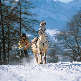 Ski Joëring