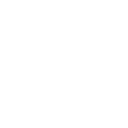 Person riding on sleigh