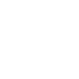 Horse head