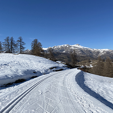 Alpes-Maritimes